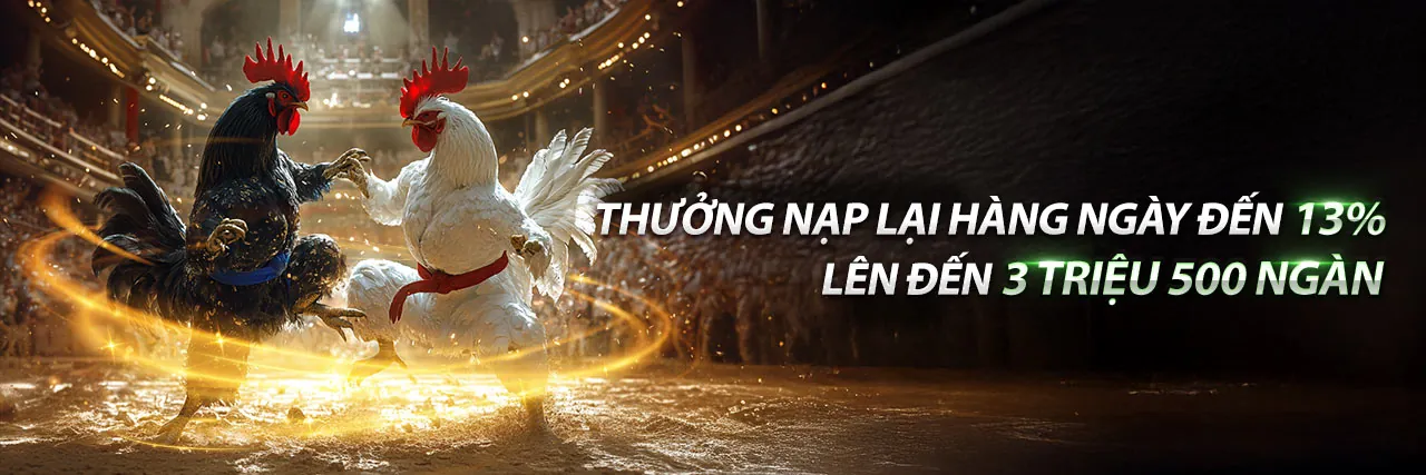 Đá Gà Trực Tuyến fm88 khuyến mãi